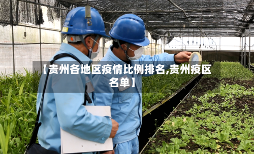 【贵州各地区疫情比例排名,贵州疫区名单】-第2张图片