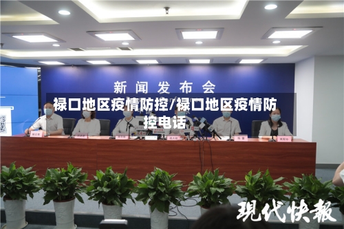 禄口地区疫情防控/禄口地区疫情防控电话-第3张图片