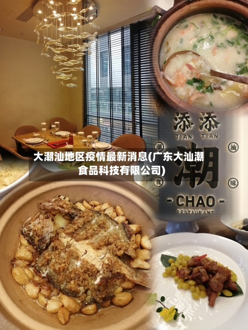 大潮汕地区疫情最新消息(广东大汕潮食品科技有限公司)