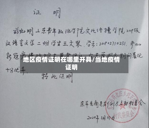 地区疫情证明在哪里开具/当地疫情证明-第3张图片