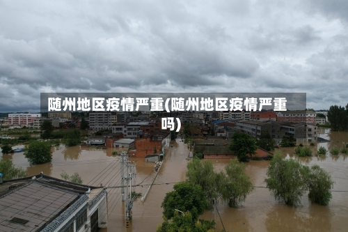 随州地区疫情严重(随州地区疫情严重吗)