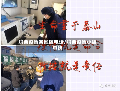 鸡西疫情各地区电话/鸡西疫情小组电话-第2张图片