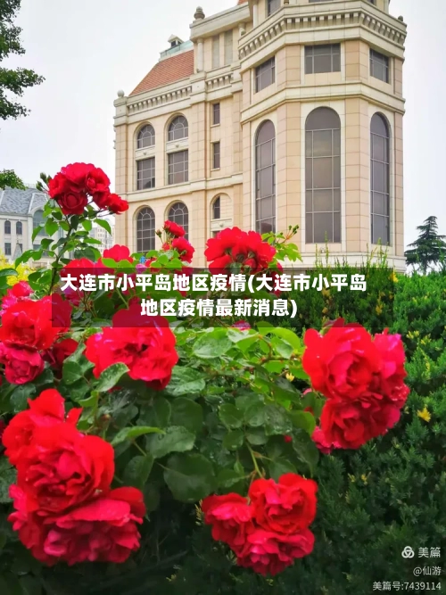 大连市小平岛地区疫情(大连市小平岛地区疫情最新消息)
