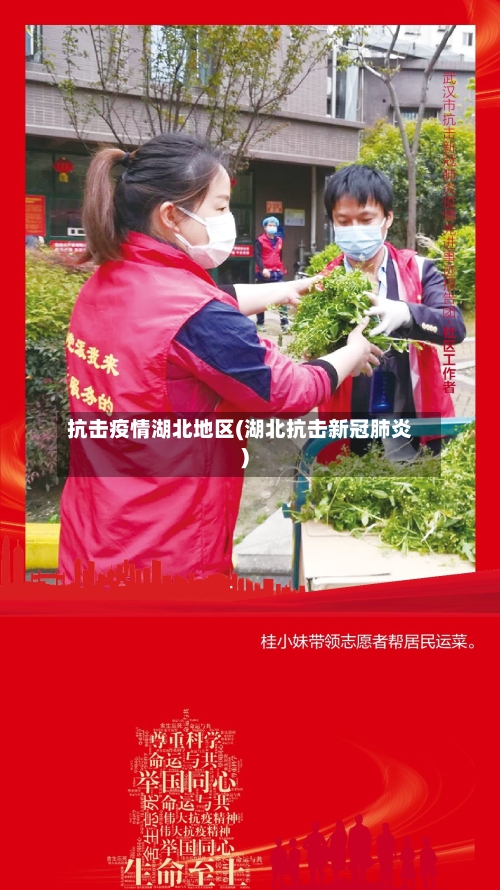 抗击疫情湖北地区(湖北抗击新冠肺炎)