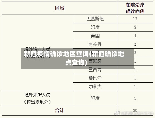 新冠疫情确诊地区查询(新冠确诊地点查询)-第2张图片