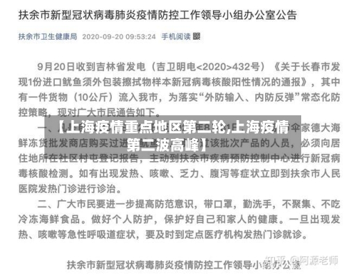 【上海疫情重点地区第二轮,上海疫情第二波高峰】-第2张图片