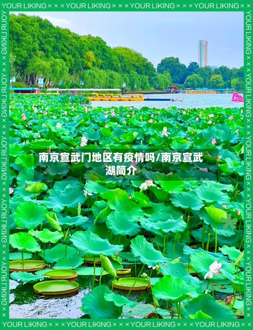 南京宣武门地区有疫情吗/南京宣武湖简介-第3张图片