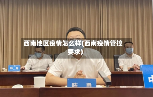 西南地区疫情怎么样(西南疫情管控要求)-第2张图片