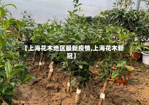 【上海花木地区最新疫情,上海花木新冠】-第2张图片