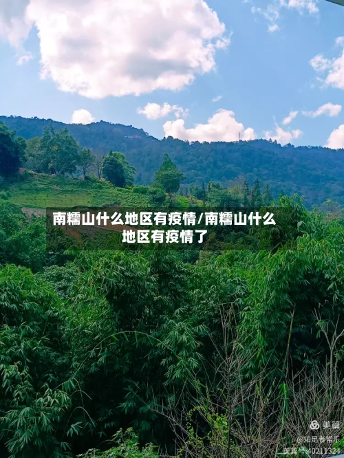南糯山什么地区有疫情/南糯山什么地区有疫情了