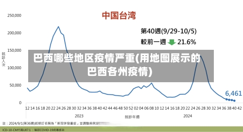 巴西哪些地区疫情严重(用地图展示的巴西各州疫情)-第2张图片