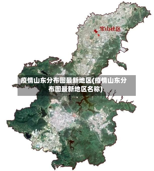 疫情山东分布图最新地区(疫情山东分布图最新地区名称)-第2张图片