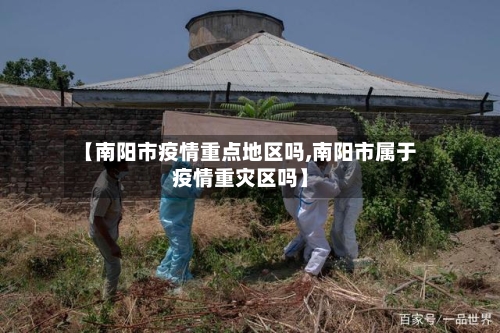 【南阳市疫情重点地区吗,南阳市属于疫情重灾区吗】-第3张图片