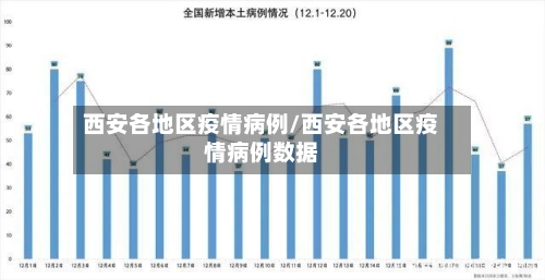 西安各地区疫情病例/西安各地区疫情病例数据-第2张图片