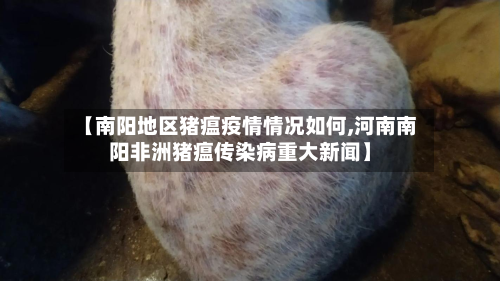 【南阳地区猪瘟疫情情况如何,河南南阳非洲猪瘟传染病重大新闻】-第2张图片