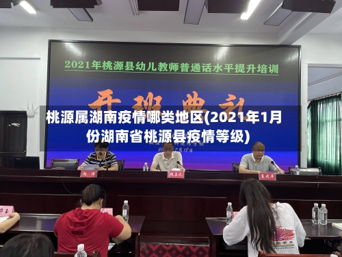 桃源属湖南疫情哪类地区(2021年1月份湖南省桃源县疫情等级)-第3张图片