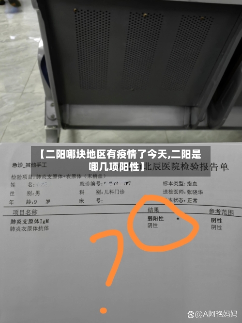 【二阳哪块地区有疫情了今天,二阳是哪几项阳性】-第2张图片