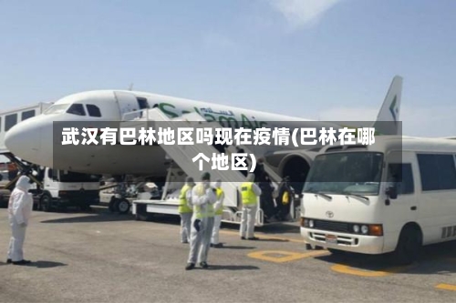 武汉有巴林地区吗现在疫情(巴林在哪个地区)-第2张图片