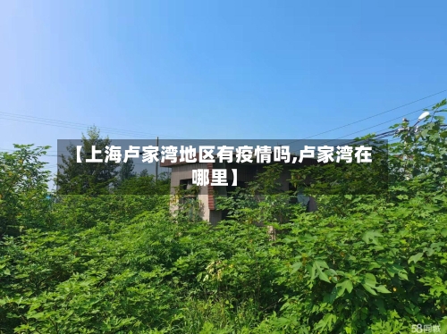 【上海卢家湾地区有疫情吗,卢家湾在哪里】-第2张图片