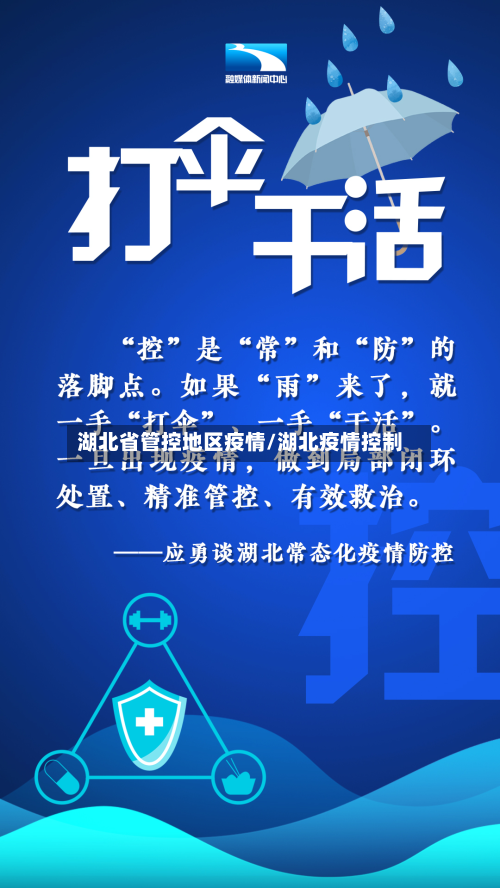 湖北省管控地区疫情/湖北疫情控制-第2张图片