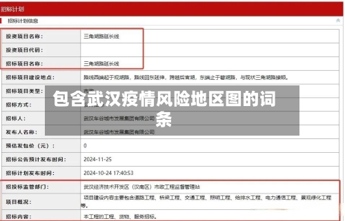 包含武汉疫情风险地区图的词条