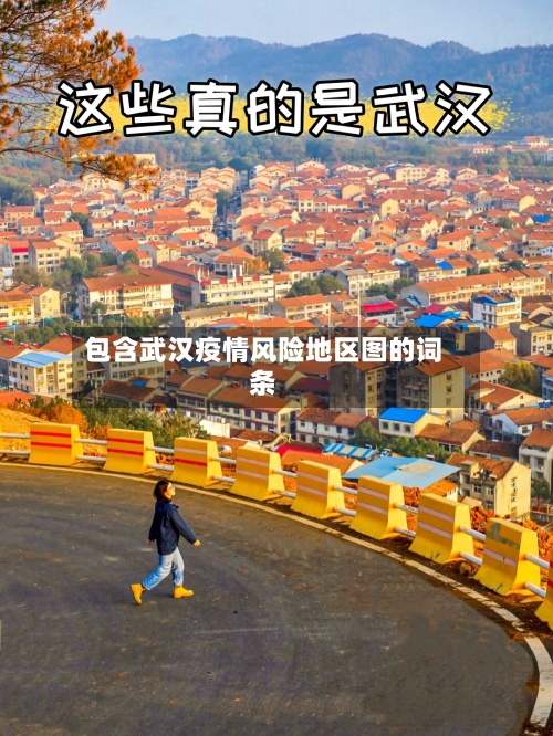 包含武汉疫情风险地区图的词条-第3张图片