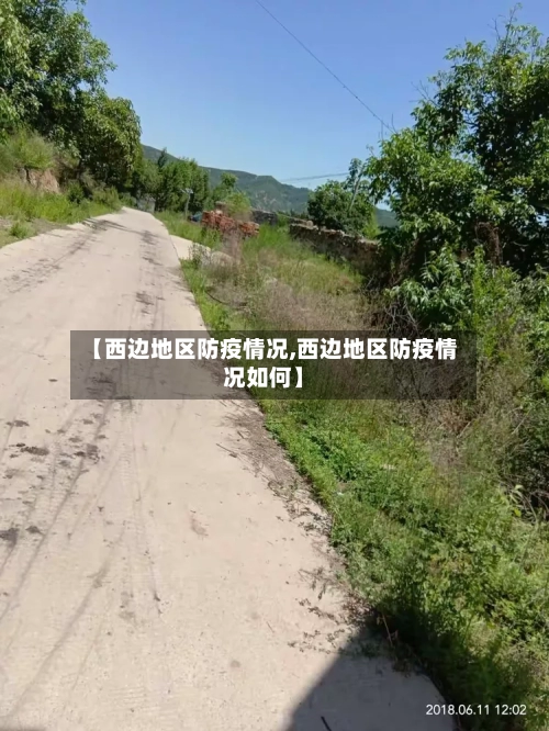 【西边地区防疫情况,西边地区防疫情况如何】