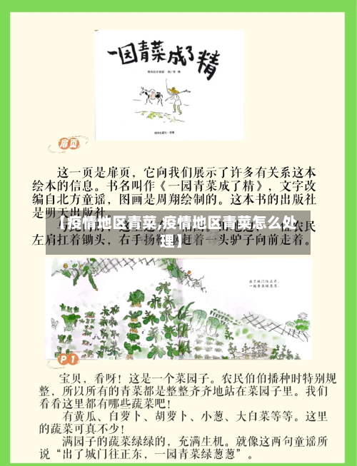 【疫情地区青菜,疫情地区青菜怎么处理】