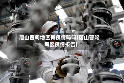 唐山曹甸地区有疫情吗吗(唐山曹妃甸区疫情报告)