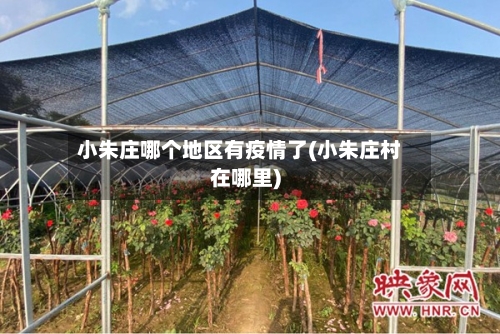 小朱庄哪个地区有疫情了(小朱庄村在哪里)-第3张图片