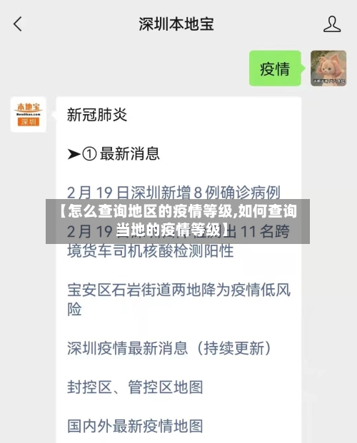 【怎么查询地区的疫情等级,如何查询当地的疫情等级】