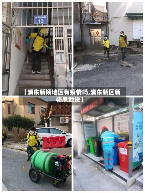 【浦东新杨地区有疫情吗,浦东新区新杨思地块】