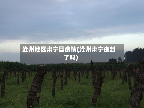 沧州地区肃宁县疫情(沧州肃宁疫封了吗)-第3张图片