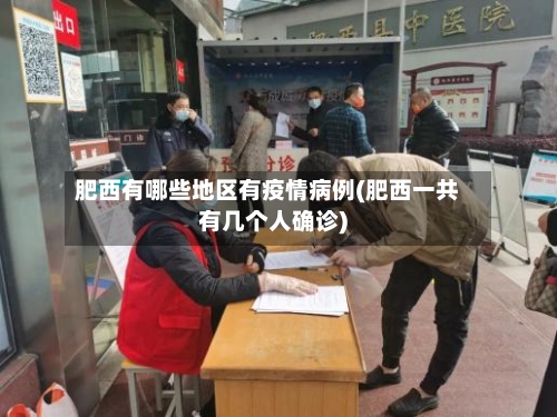 肥西有哪些地区有疫情病例(肥西一共有几个人确诊)-第2张图片