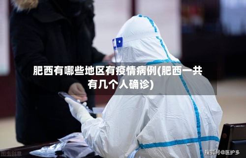 肥西有哪些地区有疫情病例(肥西一共有几个人确诊)