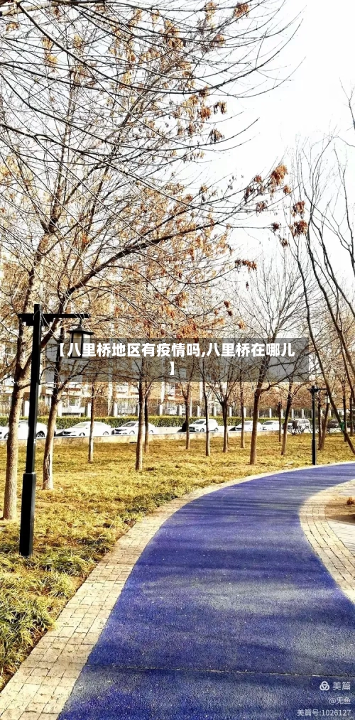 【八里桥地区有疫情吗,八里桥在哪儿】-第3张图片