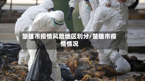 楚雄市疫情风险地区划分/楚雄市疫情情况
