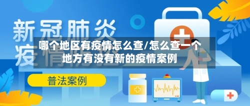 哪个地区有疫情怎么查/怎么查一个地方有没有新的疫情案例