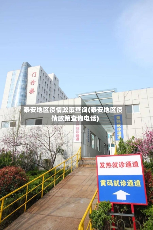 泰安地区疫情政策查询(泰安地区疫情政策查询电话)-第3张图片