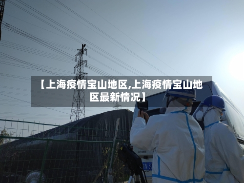 【上海疫情宝山地区,上海疫情宝山地区最新情况】-第2张图片