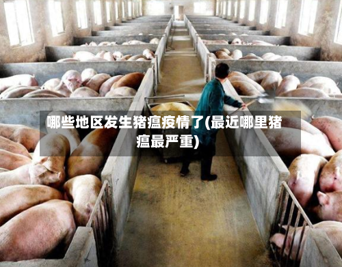 哪些地区发生猪瘟疫情了(最近哪里猪瘟最严重)-第2张图片