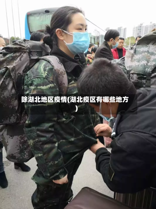 除湖北地区疫情(湖北疫区有哪些地方)-第2张图片