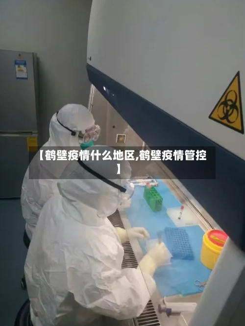 【鹤壁疫情什么地区,鹤壁疫情管控】-第3张图片