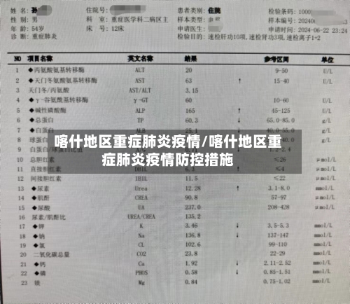 喀什地区重症肺炎疫情/喀什地区重症肺炎疫情防控措施