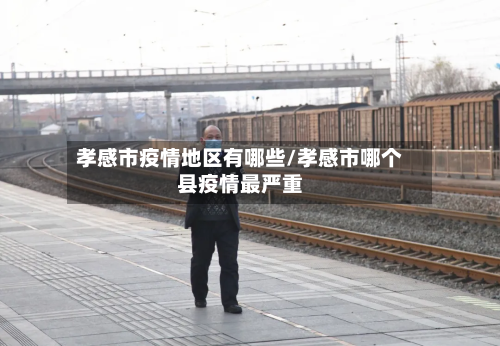 孝感市疫情地区有哪些/孝感市哪个县疫情最严重