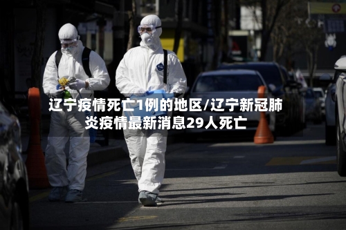 辽宁疫情死亡1例的地区/辽宁新冠肺炎疫情最新消息29人死亡-第2张图片