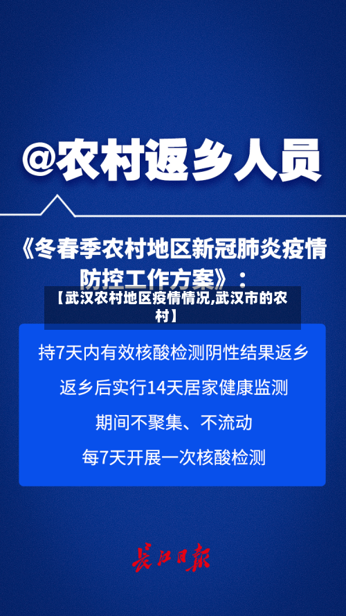 【武汉农村地区疫情情况,武汉市的农村】
