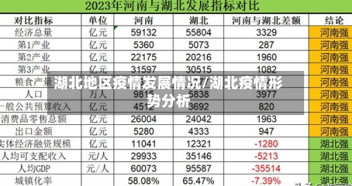 湖北地区疫情发展情况/湖北疫情形势分析-第3张图片