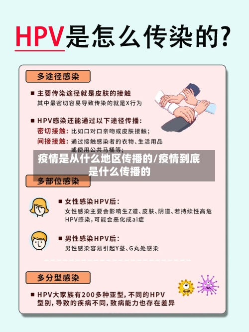 疫情是从什么地区传播的/疫情到底是什么传播的-第2张图片