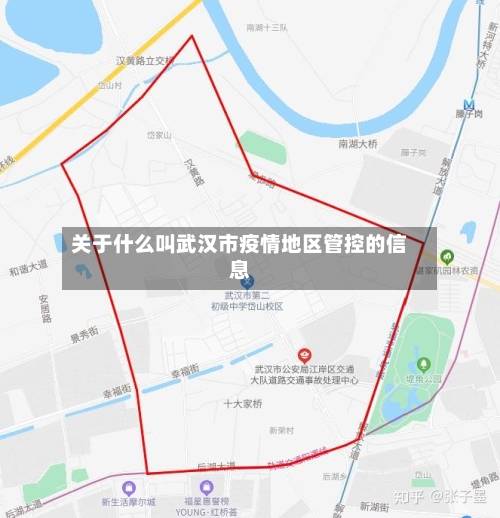 关于什么叫武汉市疫情地区管控的信息-第2张图片